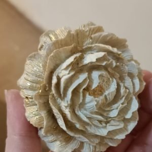Maison Ivory