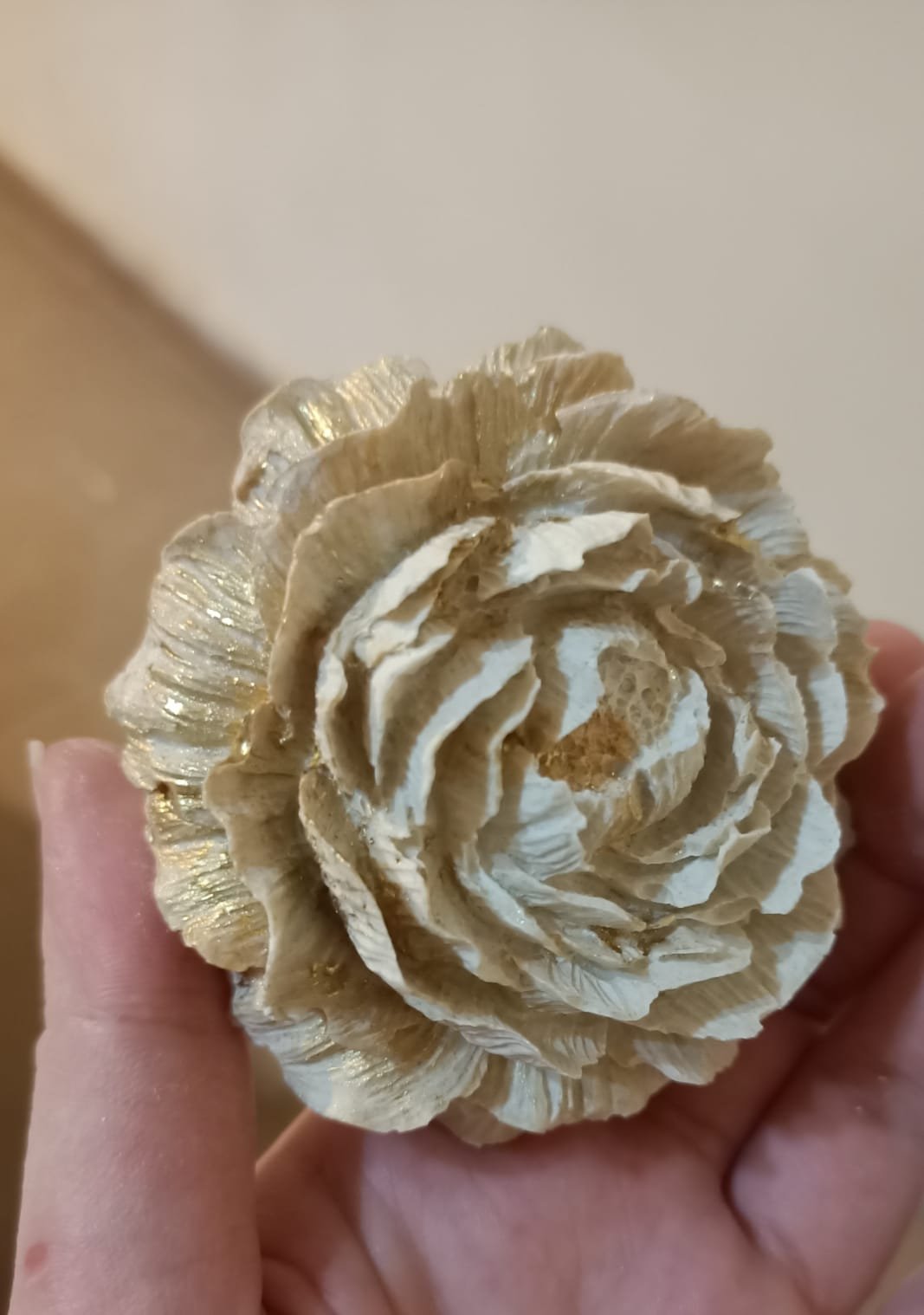 Maison Ivory